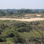 6.4.00.LA PANNE, Westhoek (5)